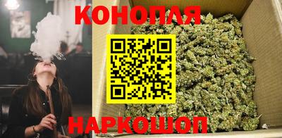 мяу мяу мука Бузулук